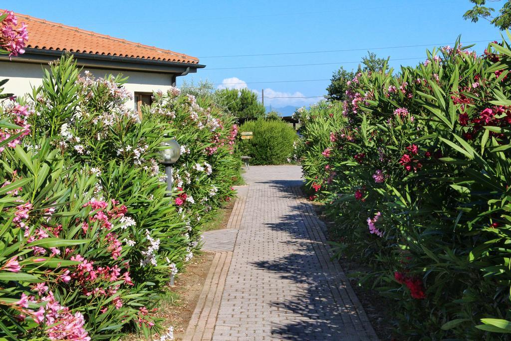 Agriturismo Gli Etruschi Populonia Bagian luar foto