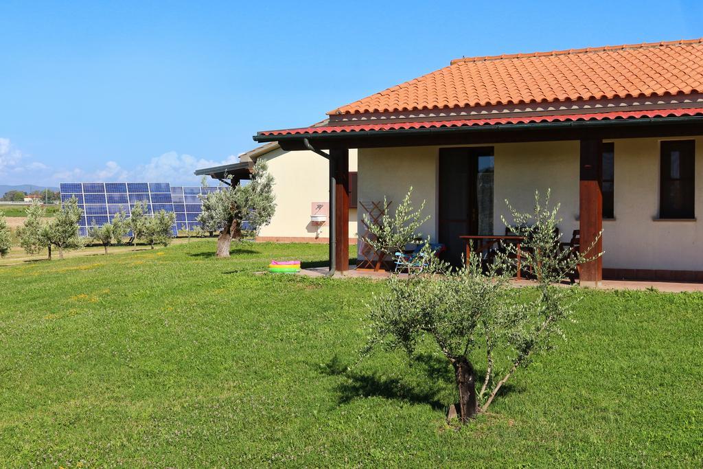 Agriturismo Gli Etruschi Populonia Bagian luar foto
