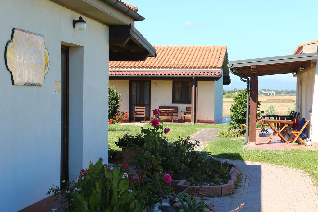 Agriturismo Gli Etruschi Populonia Bagian luar foto