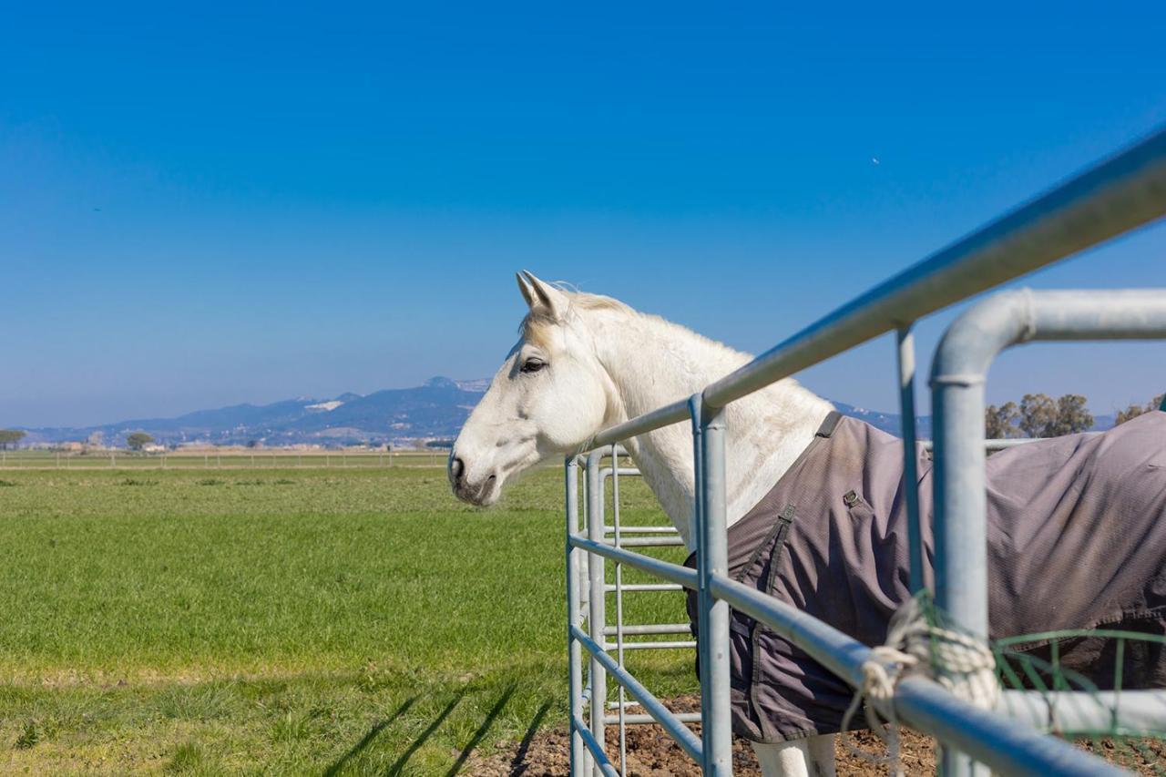 Agriturismo Gli Etruschi Populonia Bagian luar foto