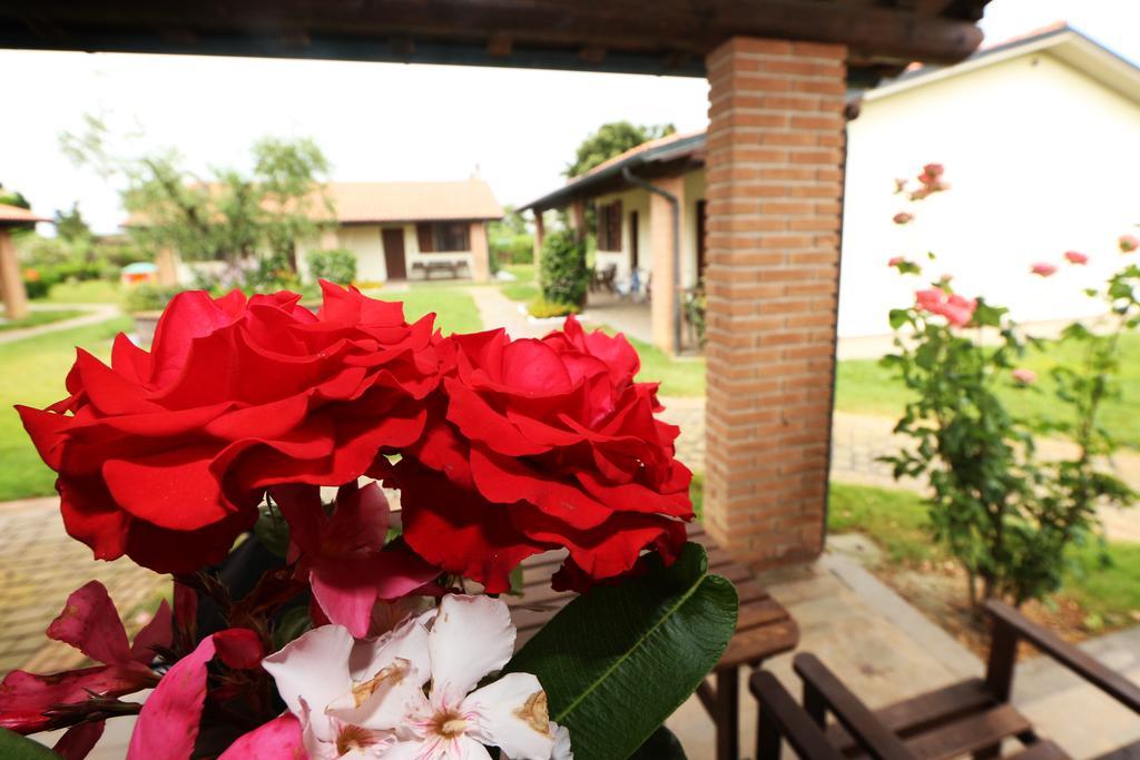 Agriturismo Gli Etruschi Populonia Ruang foto