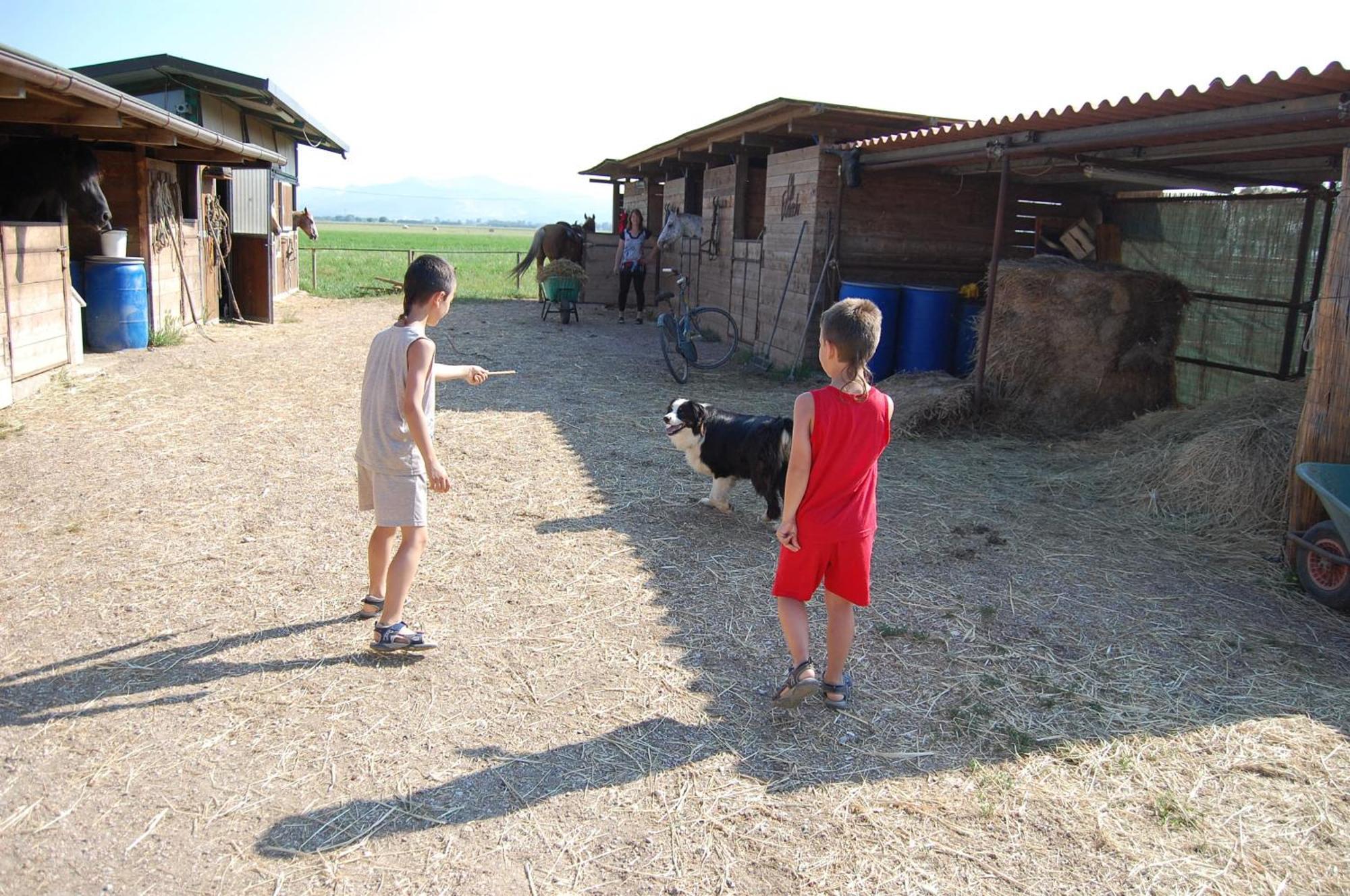 Agriturismo Gli Etruschi Populonia Bagian luar foto
