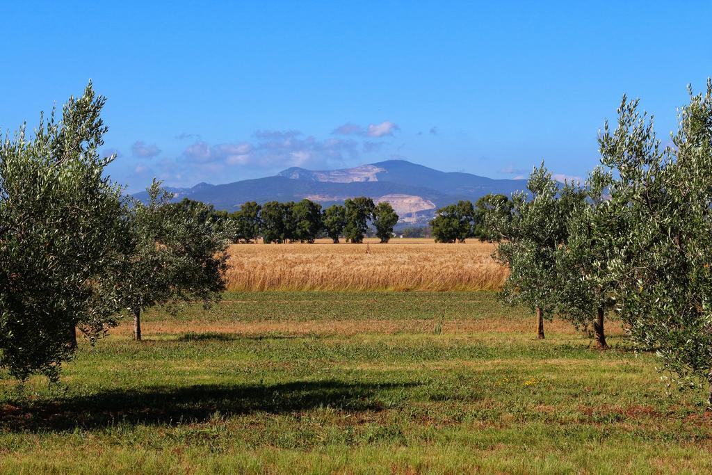 Agriturismo Gli Etruschi Populonia Bagian luar foto